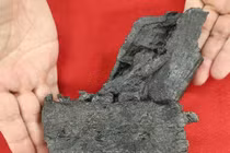 Phát hiện hóa thạch xương hàm khủng long tyrannosaurid lần đầu tại Nhật Bản 