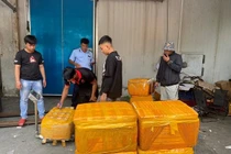 Cẩn trọng với thực phẩm đông lạnh không rõ nguồn gốc