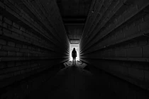 Phát hiện mới về cách não bộ hoạt động sau tử vong