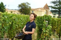 Khám phá trang trại nho đắt giá của Triệu Vy trước khi ly hôn 