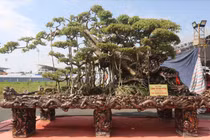 Sửng sốt sanh cổ dáng “kỳ quái” chủ hét giá 10 tỷ đồng 