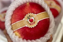 Bật mí về loại táo “đắt như vàng”, hơn nửa triệu đồng/quả