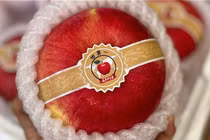 Bật mí về loại táo “đắt như vàng”, hơn nửa triệu đồng/quả