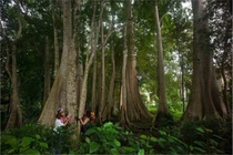 5 hoạt động tránh nóng gần TPHCM 