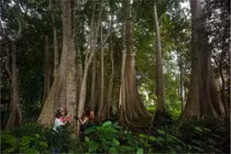 Vì sao 'Huế chưa được đánh giá đúng tầm ở châu Á'?