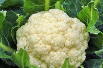 Top thực phẩm rất ít calo bạn ăn no căng mà không béo