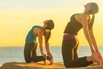 Tư thế yoga giảm đau lưng, đau cổ cho dân văn phòng