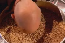 Phát ói xem quý ông ăn giòi sống lúc nhúc