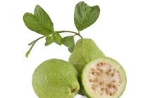 Trị mụn đầu đen sạch bách bằng các loại hạt 