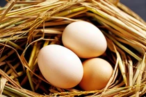 Top thực phẩm giảm cân tốt nhất cho bà mẹ mới sinh