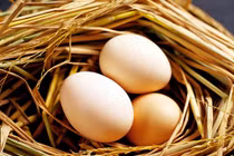 Top thực phẩm giảm cân tốt nhất cho bà mẹ mới sinh