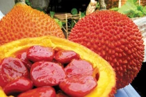 Khám phá công dụng làm đẹp khó tin của dầu gấc