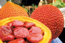 Khám phá công dụng làm đẹp khó tin của dầu gấc