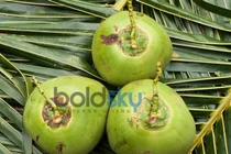 Trắng da, mượt tóc với mẹo làm đẹp bằng nước dừa