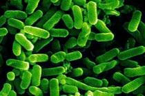 Khiếp đảm xem ổ bệnh rùng rợn nấp trong máy giặt