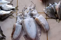 Mực tẩy trắng, tôm tạo nạc tiềm ẩn nguy cơ ung thư