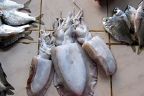 Mực tẩy trắng, tôm tạo nạc tiềm ẩn nguy cơ ung thư