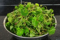 Giật mình danh sách thảo dược gây sẩy thai, dị tật