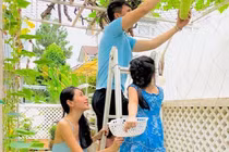 Công Vinh khiến nhiều người choáng khi công khai giá bán rau vườn nhà