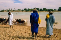 Tấn công đẫm máu ở Mali, hơn 100 người thiệt mạng