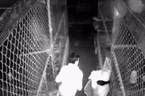 Trộm đồ lót phụ nữ tử vong trong chuồng gà và sự thật bất ngờ