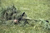 Cận cảnh khả năng ngụy trang tác chiến của lính bắn tỉa Nga