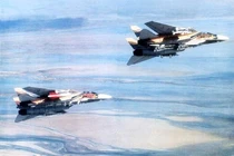 Chiến công kỳ lạ của F-14 Iran, một tên lửa hạ ba máy bay