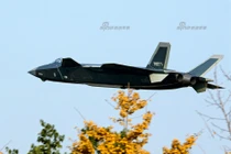 Tranh thủ F-35 nằm đất, Trung Quốc tăng tốc sản xuất J-20?