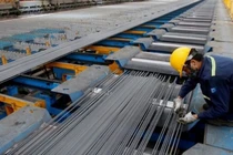 SMC sắp chia cổ tức 10% trong tháng 11