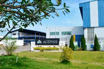 Agifish lại bị hối thúc nộp Báo cáo tài chính kiểm toán