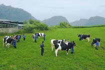 Lâm Nghiệp Sài Gòn thoái vốn tại GTNFoods, thu về 28 tỷ đồng