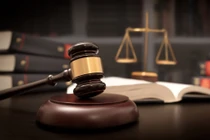 Thêm nhiều cá nhân và tổ chức bị xử phạt cuối năm Canh Tý