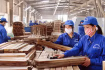 TTF báo lãi ròng tăng 130% sau soát xét