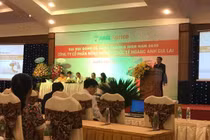 ĐHĐCĐ HNG: Đầu tư thêm vào dứa, khai thác cao su nhiều có thể lỗ