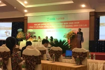 ĐHĐCĐ HNG: Đầu tư thêm vào dứa, khai thác cao su nhiều có thể lỗ