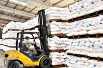 Lãi ròng của Phân bón miền Bắc giảm 63% trong quý 1