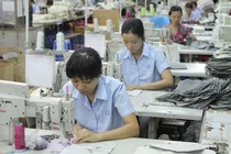 Gilimex đầu tư dự án 3.000 tỷ, chào bán 12 triệu cổ phiếu với giá thấp hơn 22% thị giá