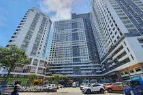 NDN đổ hơn 500 tỷ đồng vào đầu tư chứng khoán