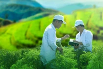 Traphaco báo lãi ròng đạt 48 tỷ đồng trong quý 3