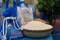 Xuất nhập khẩu An Giang sắp chi 260 tỷ đồng thành lập công ty con