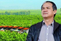 HAGL Agrico lỗ thêm 118 tỷ đồng sau kiểm toán