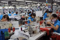 Lãi ròng của TNG giảm 10% trong quý 1 do đâu?