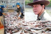 Cổ phiếu HVG của Hùng Vương bị huỷ niêm yết bắt buộc