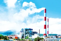 Lãi lỗ thất thường, lãnh đạo bị bắt, Nhiệt điện Quảng Ninh sống sót thế nào?