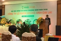 Bầu Đức: Kế hoạch HAGL lỗ hơn 350 tỷ năm 2020, kỳ vọng lớn vào nông nghiệp