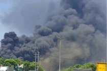 Cổ phiếu HSG của Hoa Sen vẫn tăng tốc sau vụ hỏa hoạn