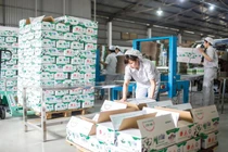 Cổ đông nhóm Vinamilk sắp nhận về hơn 100 tỷ đồng cổ tức từ Mộc Châu Milk