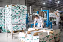 Cổ đông nhóm Vinamilk sắp nhận về hơn 100 tỷ đồng cổ tức từ Mộc Châu Milk