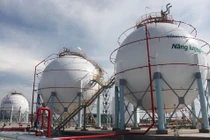 Cổ phiếu PXT sắp bị hủy niêm yết do thua lỗ 3 năm liên tiếp