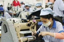 TCM đặt kế hoạch lãi ròng tăng 5% lên 290 tỷ đồng năm 2021